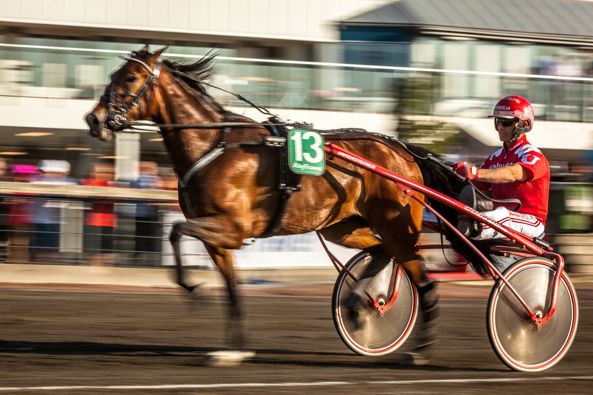 A day at the races | Åby Trav Göteborg